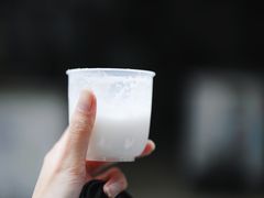 -洪馨椰子