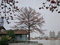 -喜洲吧·江畔老船厂·庭院餐厅(喜临院店)