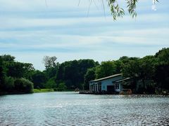 -上海共青森林公园