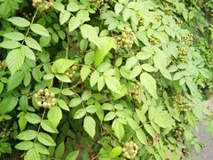 -仙海旅游度假区