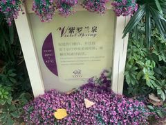 -金汤湾海水温泉度假酒店