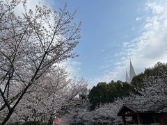 -团城山公园