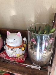 -悦艾堂·中医拔罐减肥·美体艾灸连锁