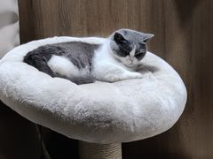 -IFIF 如果花園(宽厚里店)