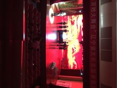 iphone_upload_pic-辽宁大剧院