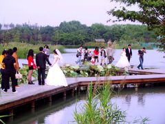 -昆山城市生态森林公园