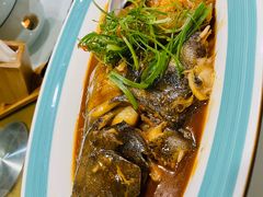 -渔娘渔家丹东海鲜(东直门店)