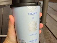 -爷爷不泡茶 NOYEYENOTEA(长沙五江天街店)