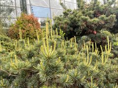 -祥源·阜阳生态乐园