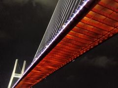 -新龙船黄浦江餐饮游船官方自营店