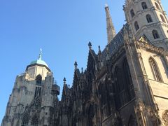 -斯蒂芬主教座堂(Stephansdom)