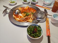 -古乐牛香•鲜牛肉牛杂火锅(系马桩总店)