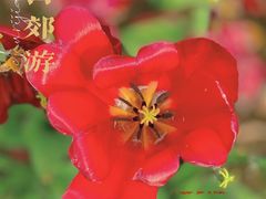 -静安雕塑公园