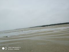 -北海金海湾红树林生态旅游区