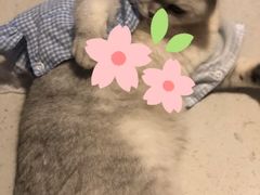 -御手国医·古法经络调理(光华店)