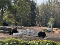 -北京野生动物园