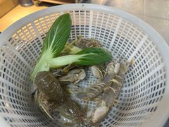 皮皮虾-黄寺蒸汽海鲜(黄寺大街店)