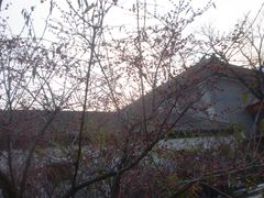 -北京鹫峰国家森林公园