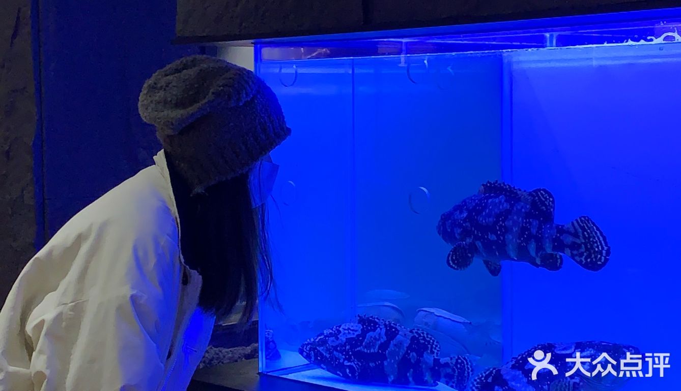 青岛最高端最有氛围感的铜锅涮肉！！