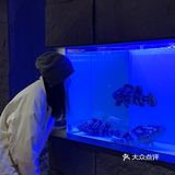 青岛最高端最有氛围感的铜锅涮肉！！