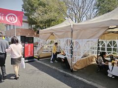 -自然谷恐龙园