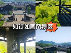 -大唐贡茶院