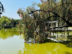 -人民公园(罗湖区)