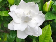 -龙江公园