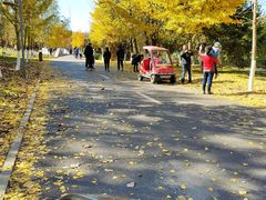 -长白岛森林公园