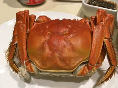 -王宝和酒家(黄浦店)