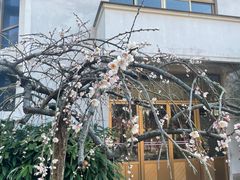 -无锡梅园公园