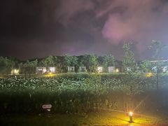 -上海怡沁园度假酒店