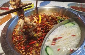 Special Fish and Frog