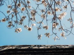 -乌山风景区