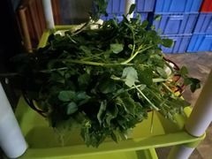 杂菜-牛总正宗牛肉火锅(魁奇路店)