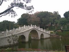 -石湾公园