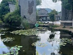 -大蜀山国家森林公园