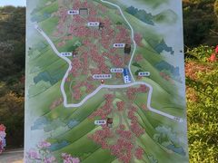 -大围山国家森林公园