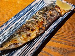 -鸟屯(三里屯店)