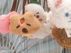-蛙小侠(柳州万象城店)