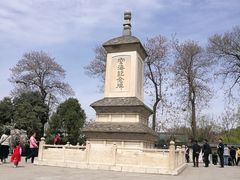 -西安青龙寺遗址景区