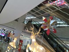 -远洋未来汇