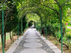 -合肥滨湖国家森林公园