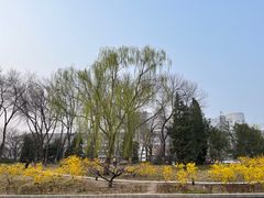 -元大都城垣遗址公园