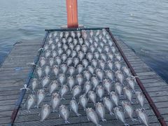 -东钱湖旅游度假区