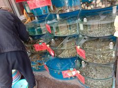 -海之味海鲜大咖·家常菜