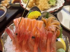 -鸟鹏烧鸟居酒屋(昌岗店)