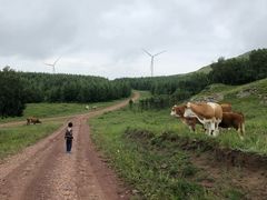-塞罕坝国家级自然保护区