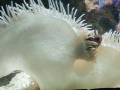 -苏州海洋馆