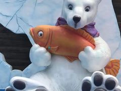 -海合安武汉极地海洋公园